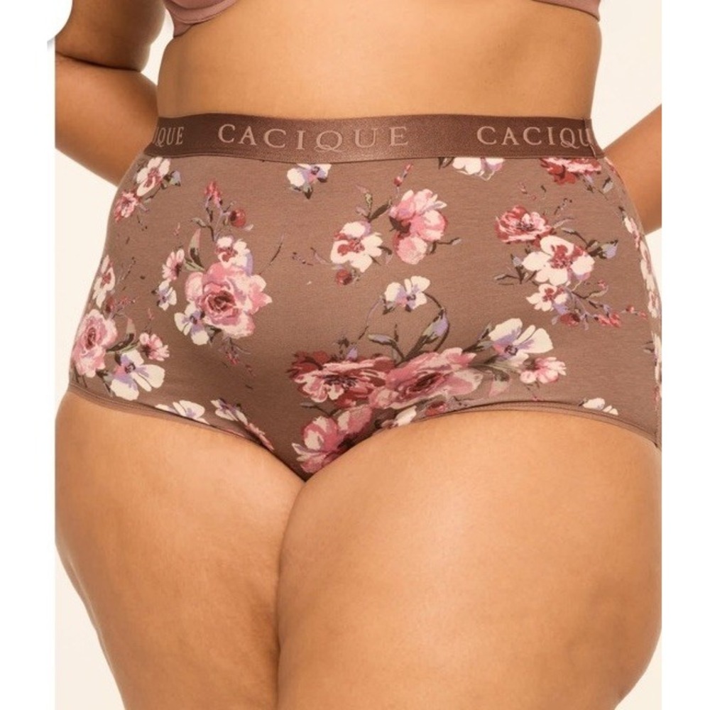CACIQUE Cotton Tossed Floral Deep Taupe Hipster Panty NWT Size 22/24 3X